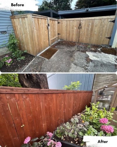 Top: Unpainted wooden gate before painting, surrounded by plants and concrete in Portland. Bottom: Stained wooden fence after Pearl Painters’ work, with a flower bed and rock border showing the garden upgrade.