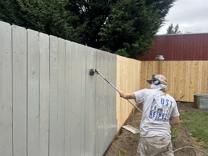A painter is painting a wooden fence gray with a roller brush outdoors in Portland; some boards on the right are unpainted.