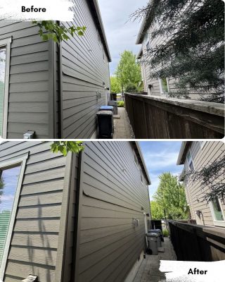 Before and after cleaning a Portland side yard; first image has clutter and overgrown branches, second shows a clear walkway and trimmed tree. Painter work shown by Pearl Painters.