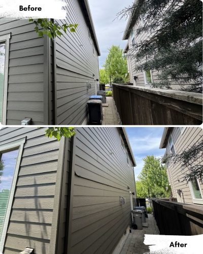 Before and after cleaning a Portland side yard; first image has clutter and overgrown branches, second shows a clear walkway and trimmed tree. Painter work shown by Pearl Painters.