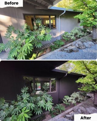 Before-and-after photos of a house in Portland, wall painted from light gray to dark brown by Pearl Painters; landscaping unchanged.