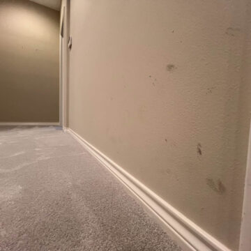 Interior corner of a room showing a carpeted floor and a freshly painted wall from an interior painting project in Tigard that brightened the space, previously marked with scuff marks.