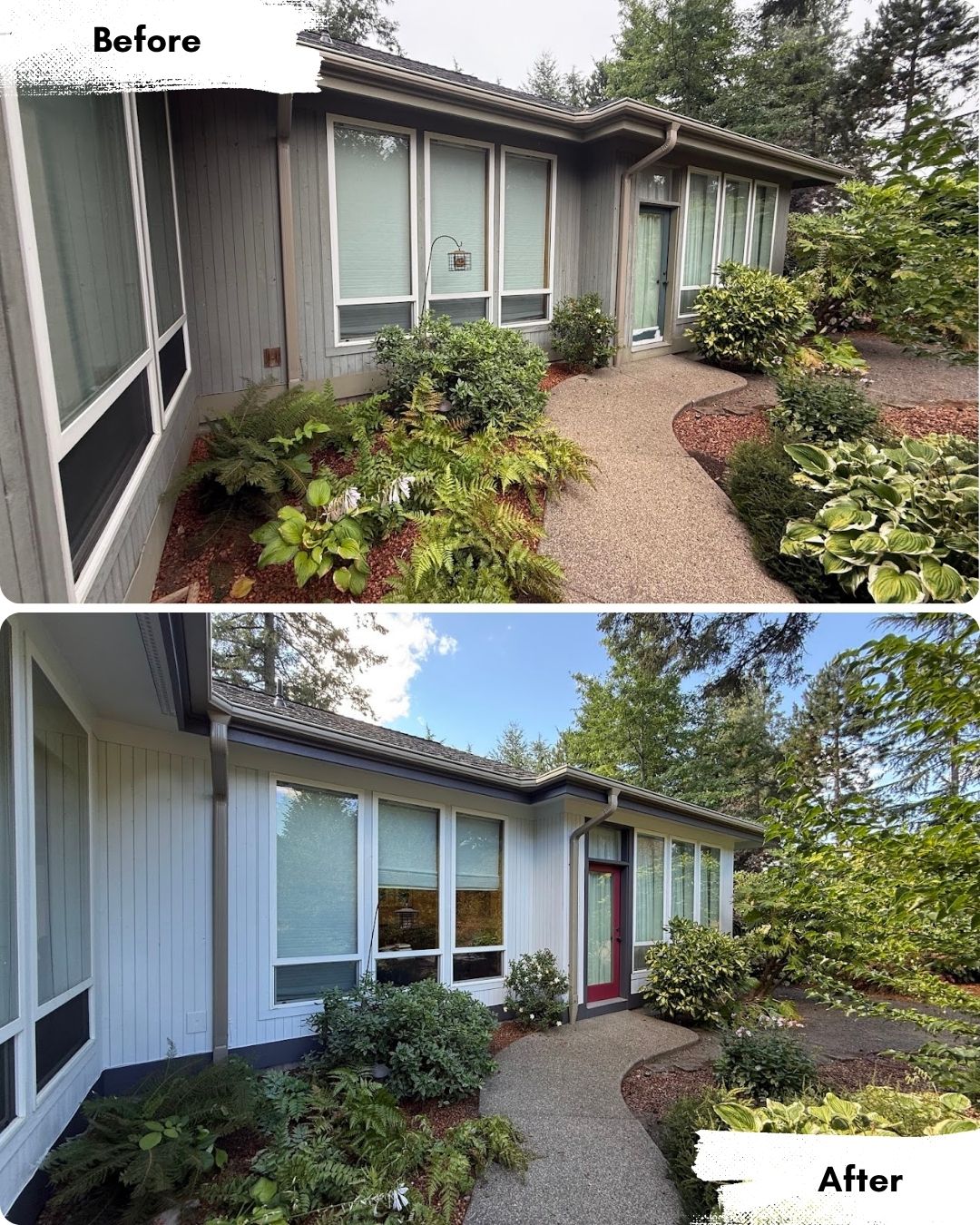 Before and after photos of house exterior painting by Pearl Painters in Portland, showing gray siding repainted white with a red front door.