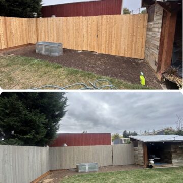 Pearl Painters in Portland painted the wooden fence gray; painter improved shed neatness and updated landscaping.